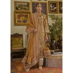 Carrot Orange Marsh Party Wear