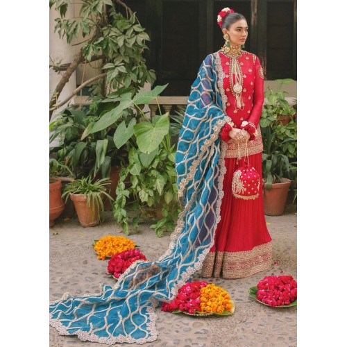 Persian Red Marsh Sharara