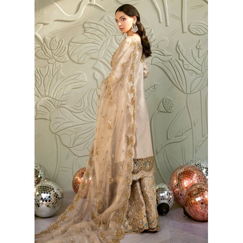 Sunset Crocus Sharara