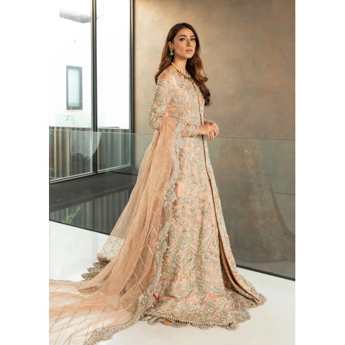 Crayola Peach Scilla Gown