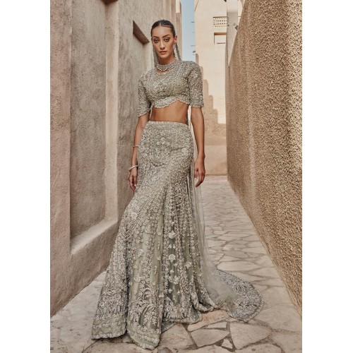 Stone Scilla Lehenga Choli