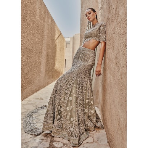 Stone Scilla Lehenga Choli