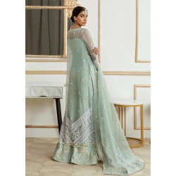 Tea Green Scilla Sharara