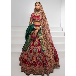 Deep Cardinal Adonis Lehenga Choli