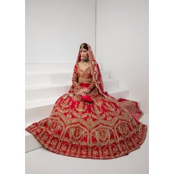 Venetian Red Adonis Lehenga