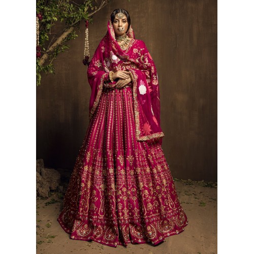 Cerise Adonis Lehenga Choli