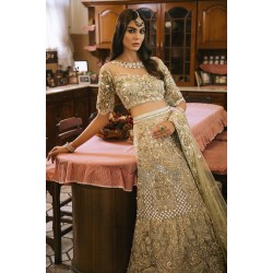Dark Champagne Argus Lehenga Choli