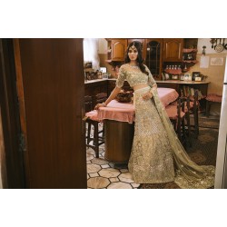 Dark Champagne Argus Lehenga Choli