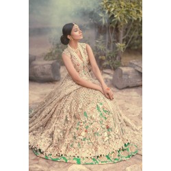 Light Fallow Freesia Anarkali