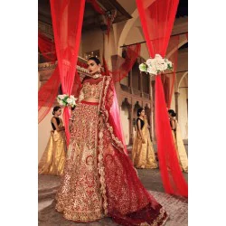 Red Nerine Lehenga