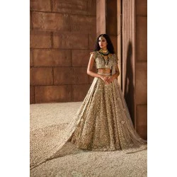 Rosy Brown Nerine Lehenga