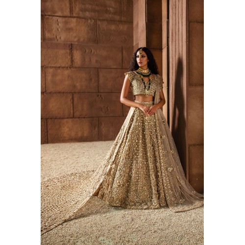 Rosy Brown Nerine Lehenga Rosy Brown Nerine Lehenga