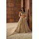Rosy Brown Nerine Lehenga Rosy Brown Nerine Lehenga