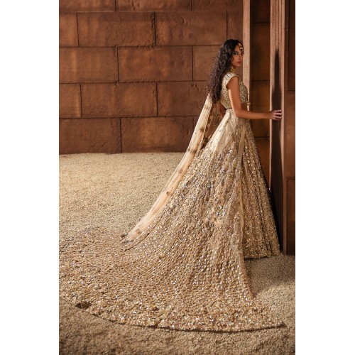 Rosy Brown Nerine Lehenga Rosy Brown Nerine Lehenga