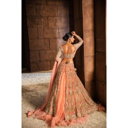 Atomic Tangerine Nerine Lehenga