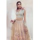 Aqua Melon Zenobia Lehenga Choli