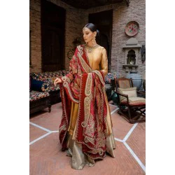 Earth Yellow Zephyr Anarkali