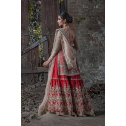 Deep Red and Misty Rose Peony Gharara