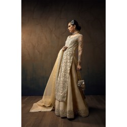 Butter Cup Peony Sharara