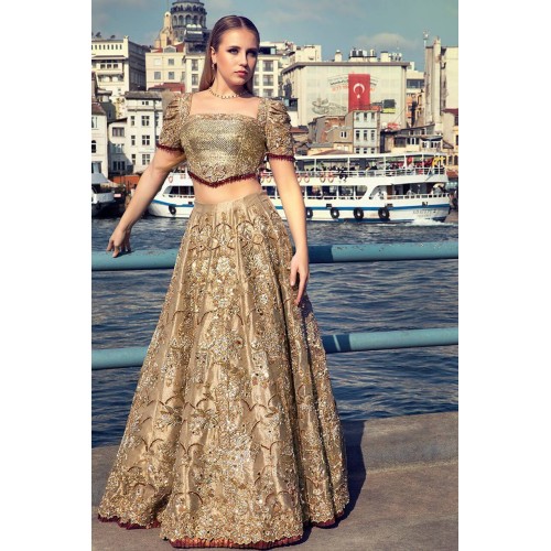 Burlywood Azalea Lehenga Burlywood Azalea Lehenga