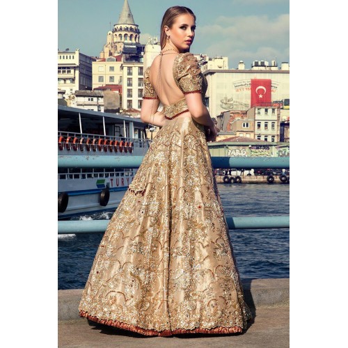 Burlywood Azalea Lehenga Burlywood Azalea Lehenga