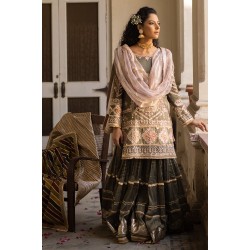 Bistre Monarch Sharara