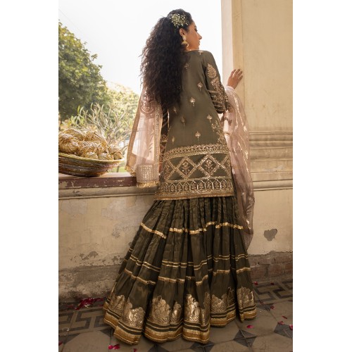 Bistre Monarch Sharara
