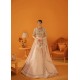 Light Apricot Wisteria Lehenga