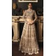 Light Champagne Lily Lehenga Choli Light Champagne Lily Lehenga Choli