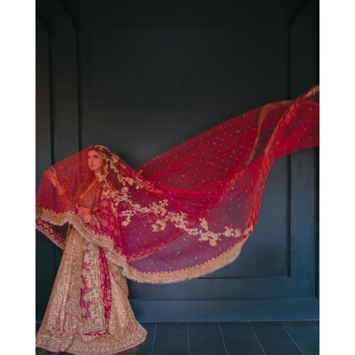 Cantaloupe Lily Lehenga