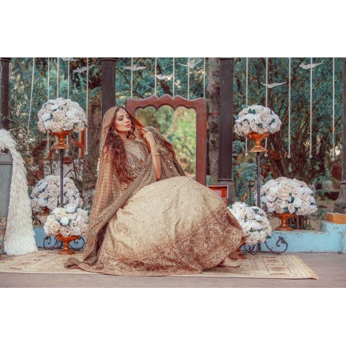 Beige Lily Lehenga Choli