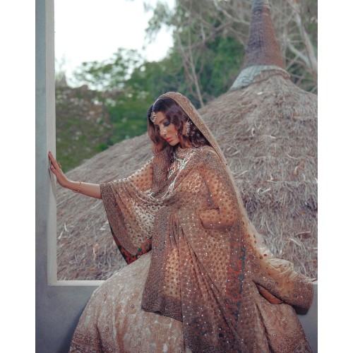Beige Lily Lehenga Choli