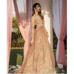 Light Champagne Iris Gown