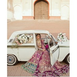 Jazzberry Jam Iris Lehenga Choli