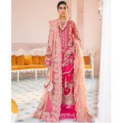 Spanish Carmine Iris Sharara