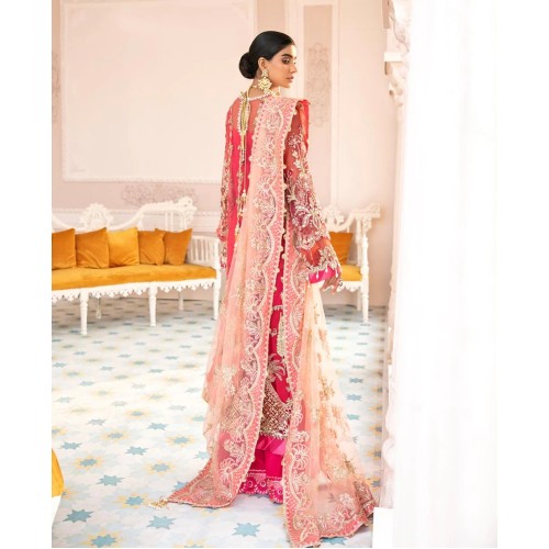 Spanish Carmine Iris Sharara