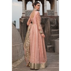 Cantaloupe Melon Julia Pishwas Cantaloupe Melon Julia Pishwas