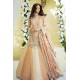 Orange Gold Julia Paneled Lehenga