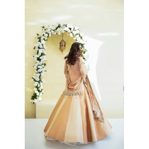 Orange Gold Julia Paneled Lehenga