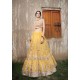 Mustard Aster Lehenga Mustard Aster Lehenga