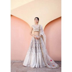 Baby Powder Aster Lehenga