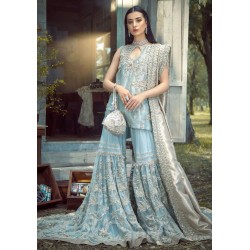 Columbia Blue Aster Gharara