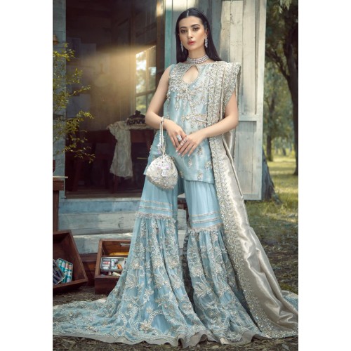 Columbia Blue Aster Gharara