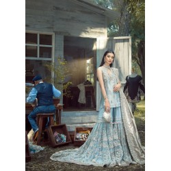 Columbia Blue Aster Gharara