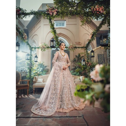 Isabelline Aster Bridal Pishwas