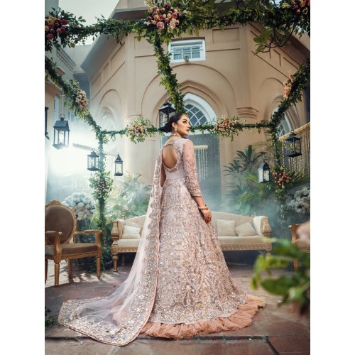 Isabelline Aster Bridal Pishwas