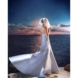 Light Periwinkle Aster Gown