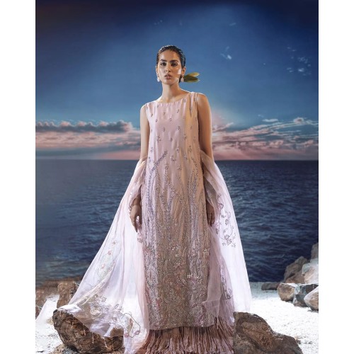 Misty Rose Aster Sharara