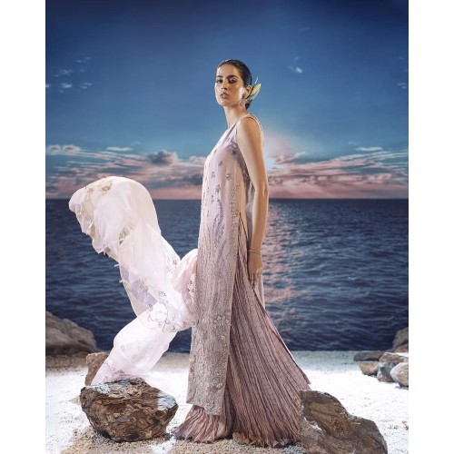 Misty Rose Aster Sharara