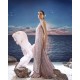 Misty Rose Aster Sharara